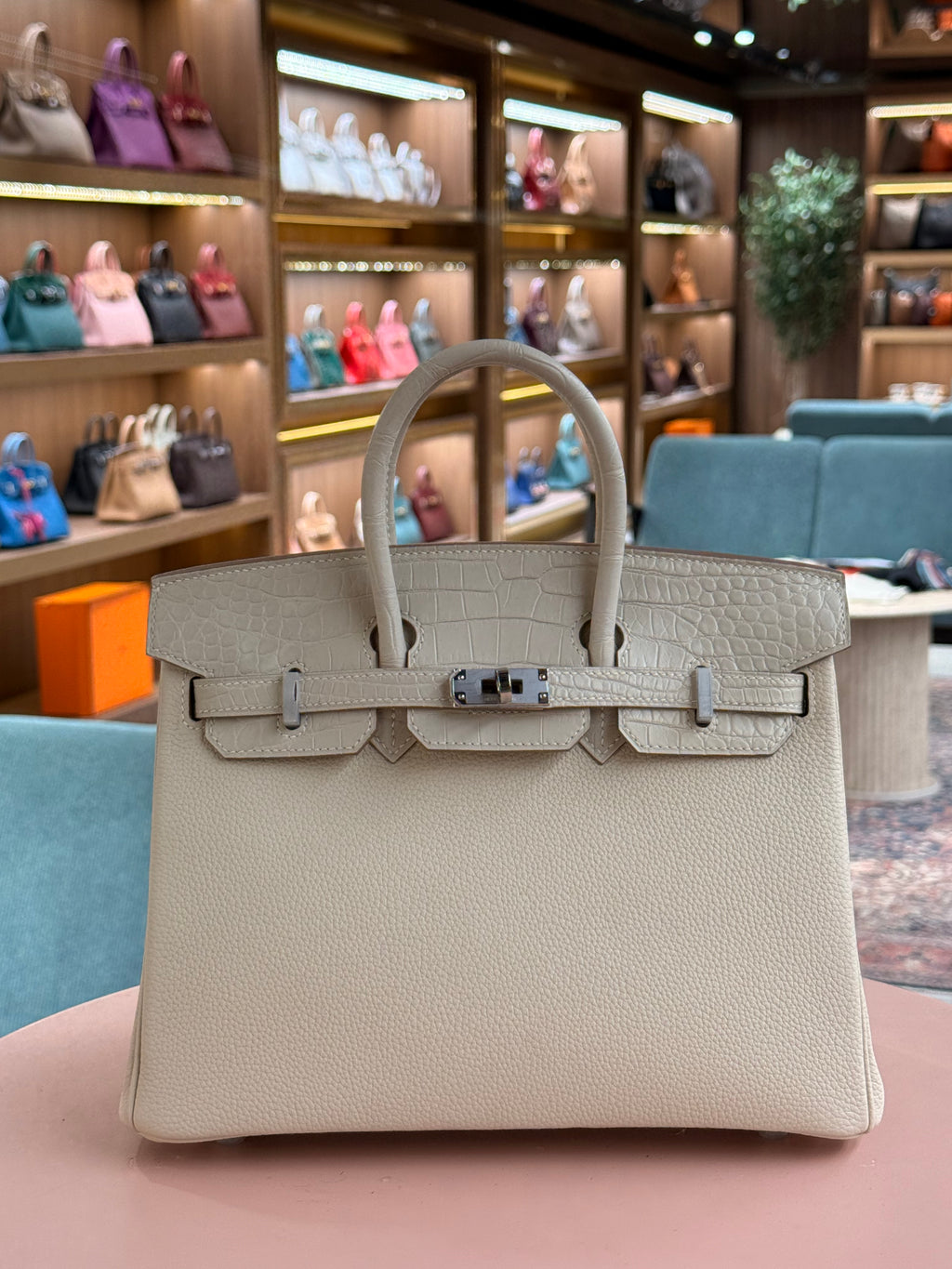 Hermes | Birkin Touch (25) – Togo – Creme – Palladium Hardware