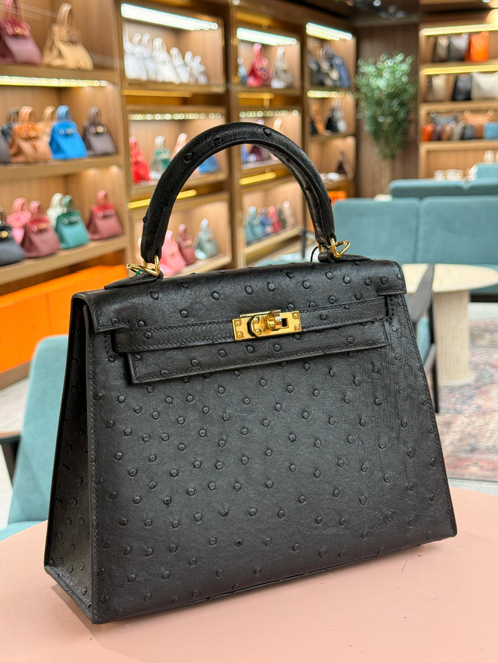 Hermes | Kelly (25) – Ostrich – Black – Gold Hardware
