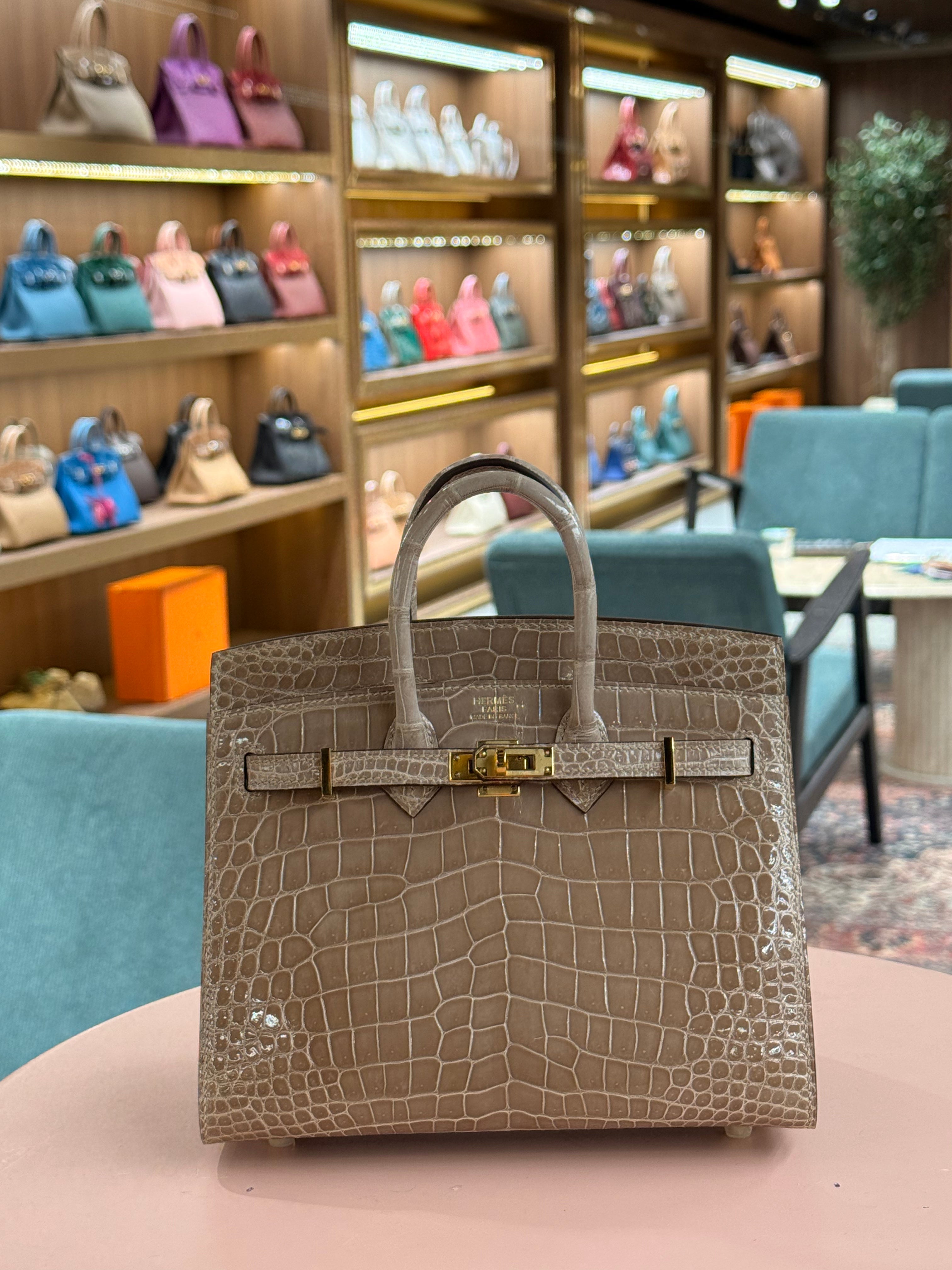 Hermes | Birkin (20) – Crocodile – Beige – Gold Hardware