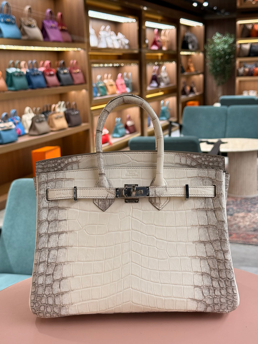 Hermes | Birkin (25) – Crocodile – Himalaya – Palladium Hardware