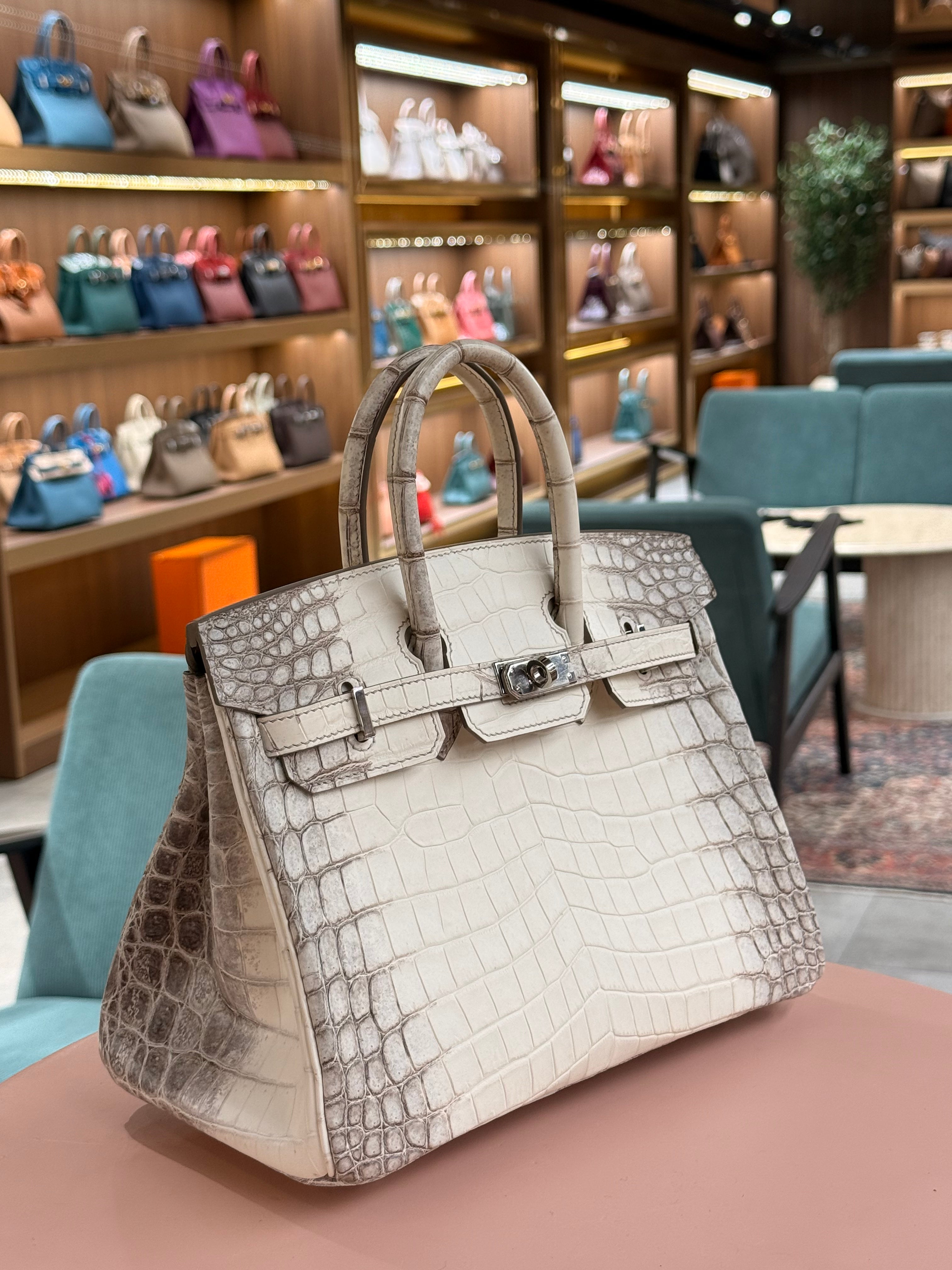 Hermes | Birkin (25) – Crocodile – Himalaya – Palladium Hardware