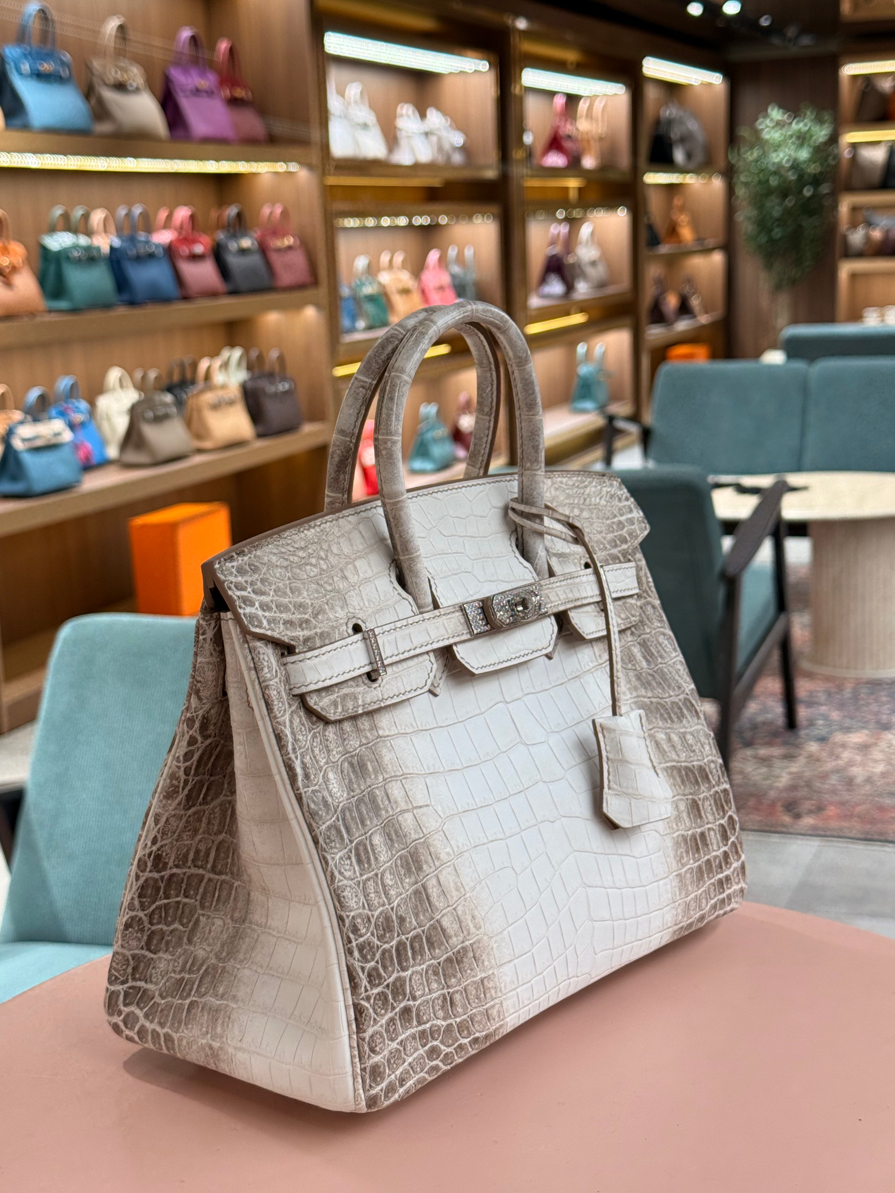 Hermes | Birkin (25) – Crocodile – Himalaya – Palladium Hardware