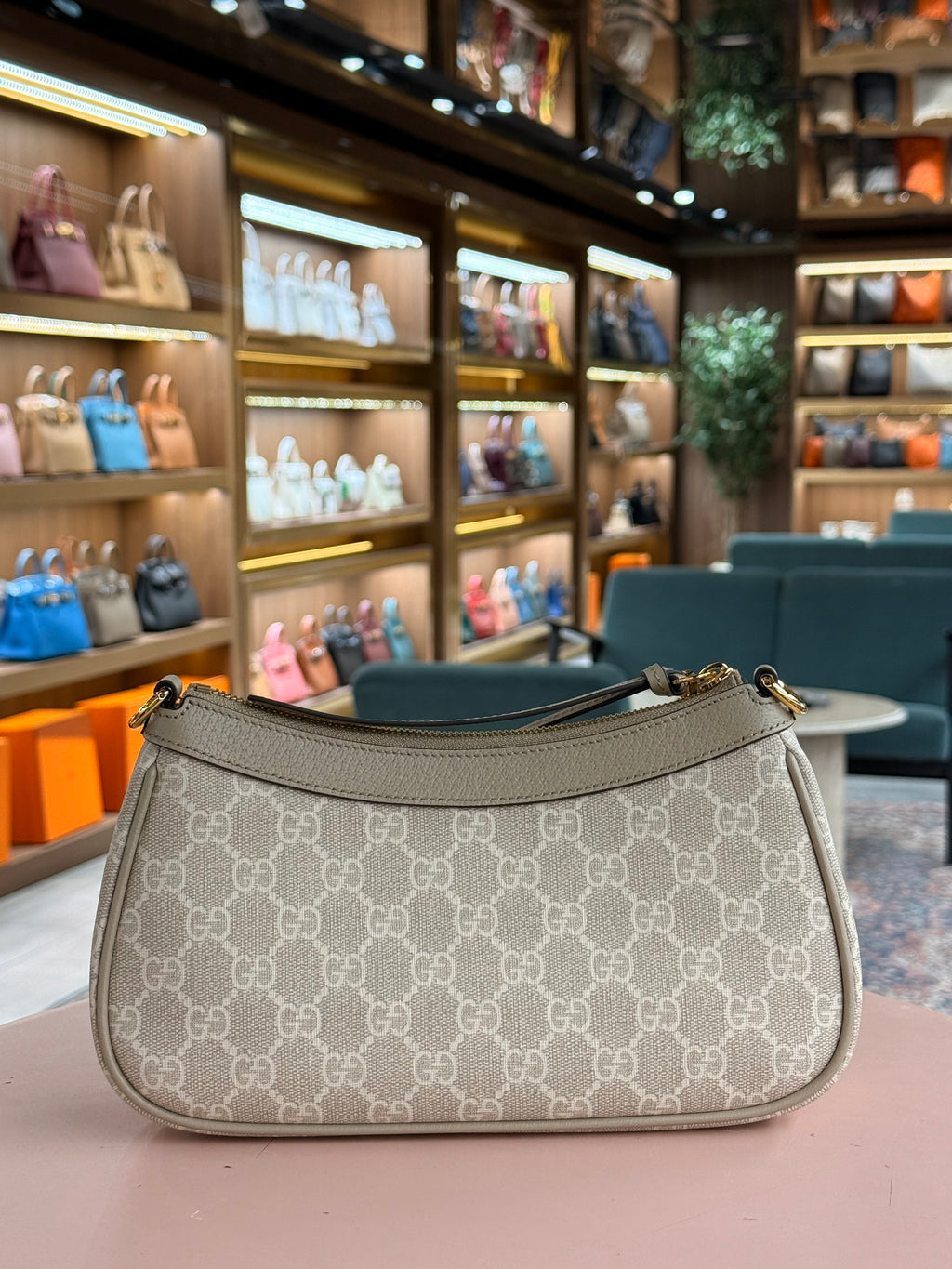 Gucci | Small Ophidia (Small) – Canvas – Beige – Gold Hardware