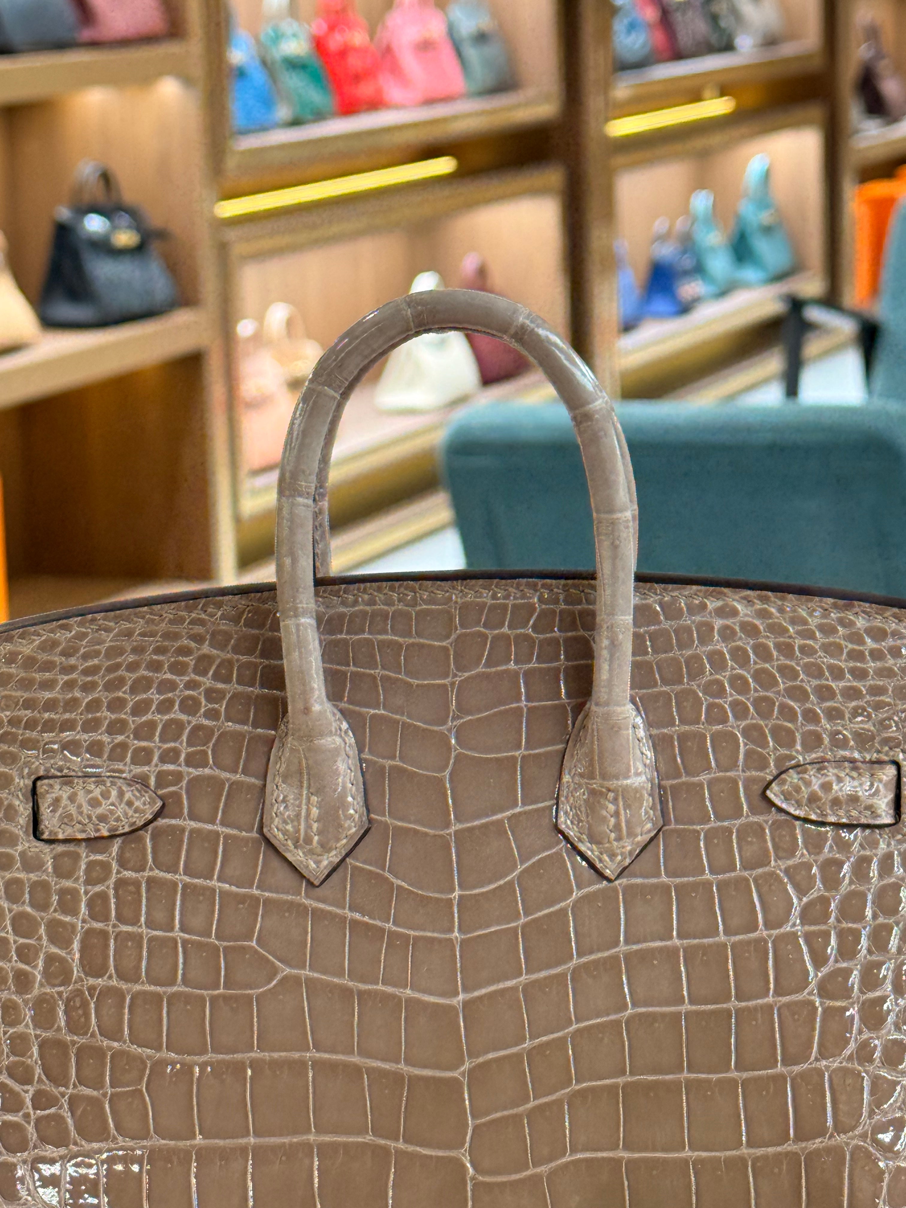 Hermes | Birkin (20) – Crocodile – Beige – Gold Hardware