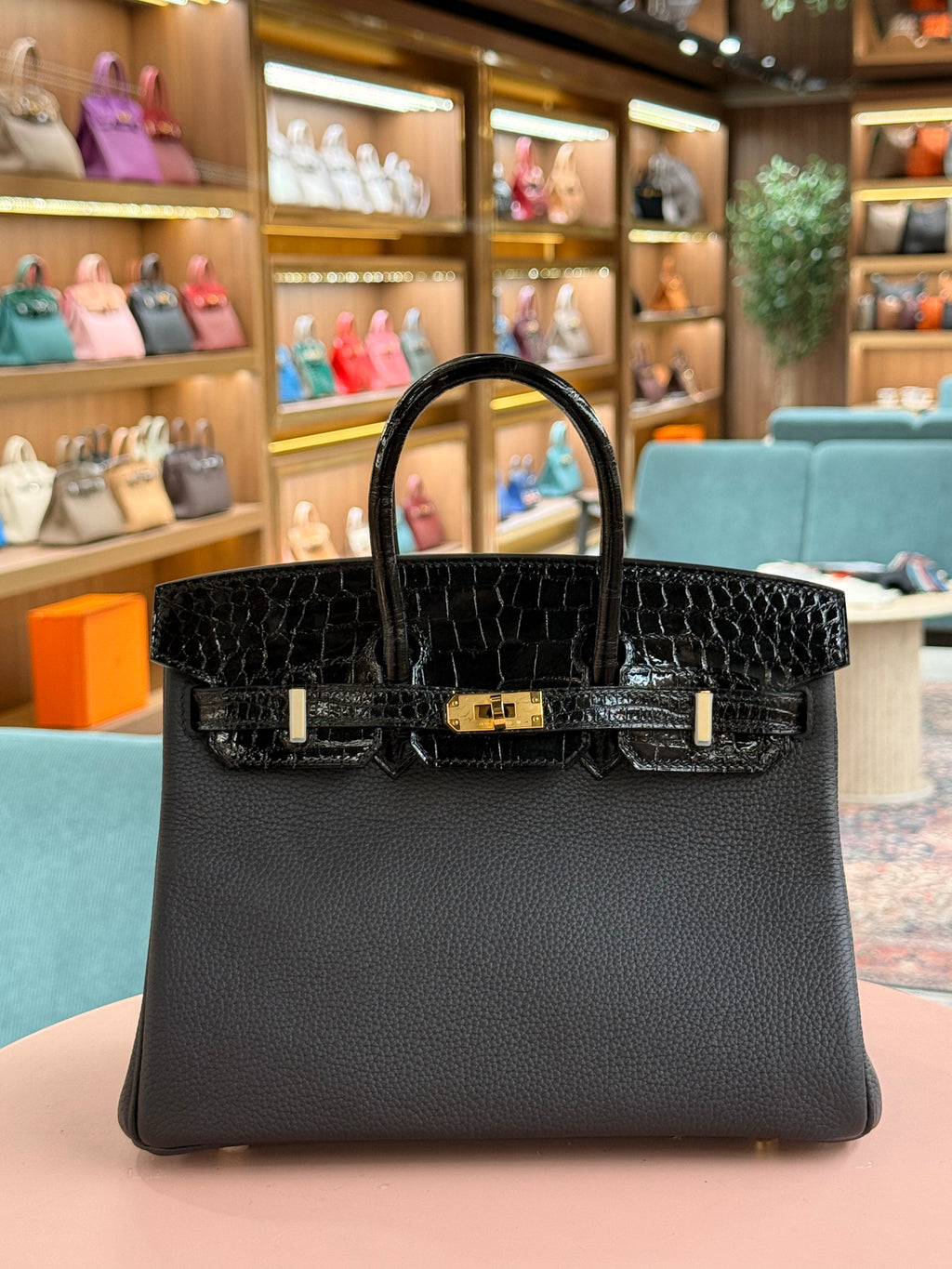 Hermes | Birkin Touch (25) – Togo – Black – Gold Hardware