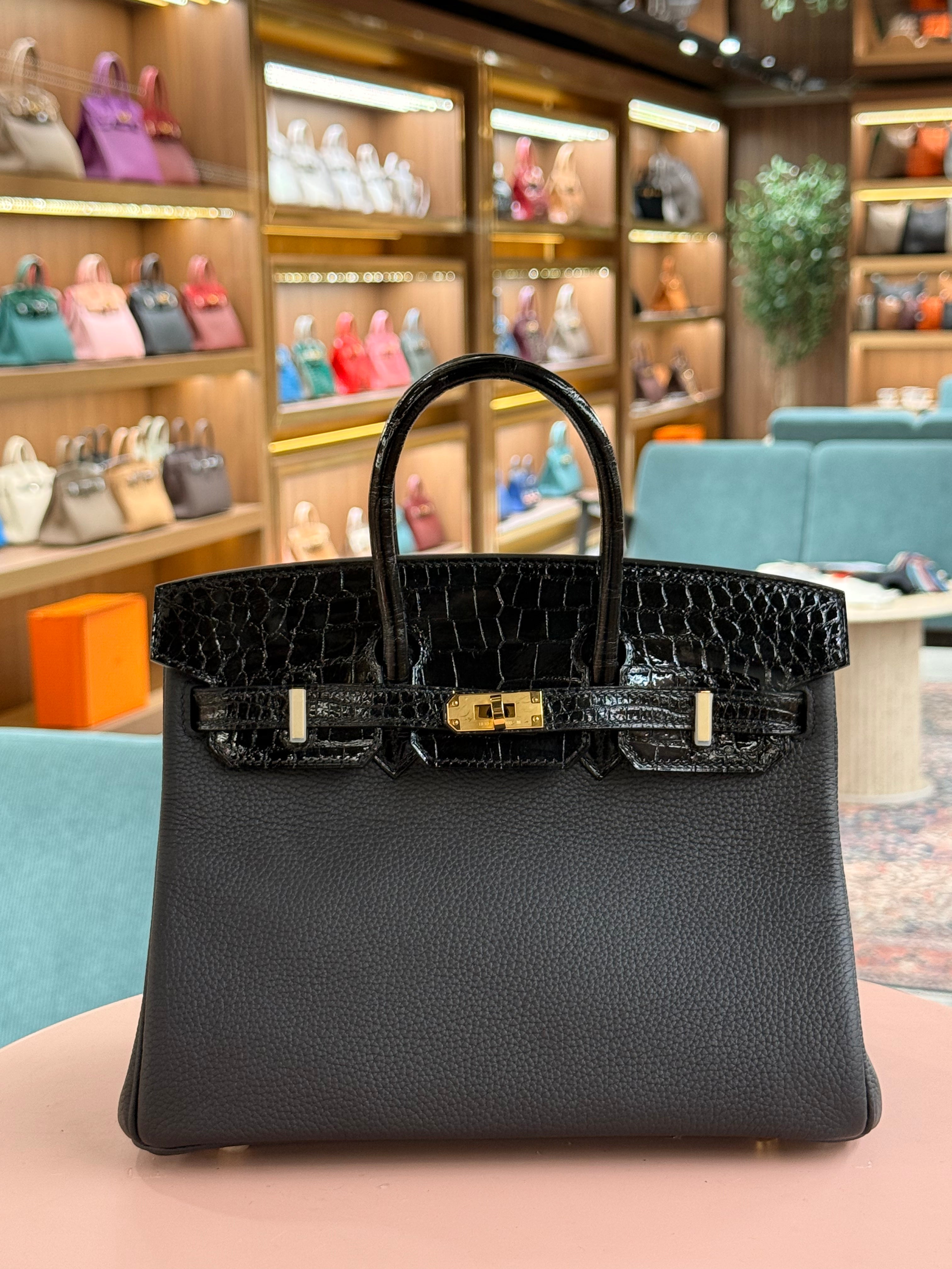 Hermes | Birkin Touch (25) – Togo – Black – Gold Hardware