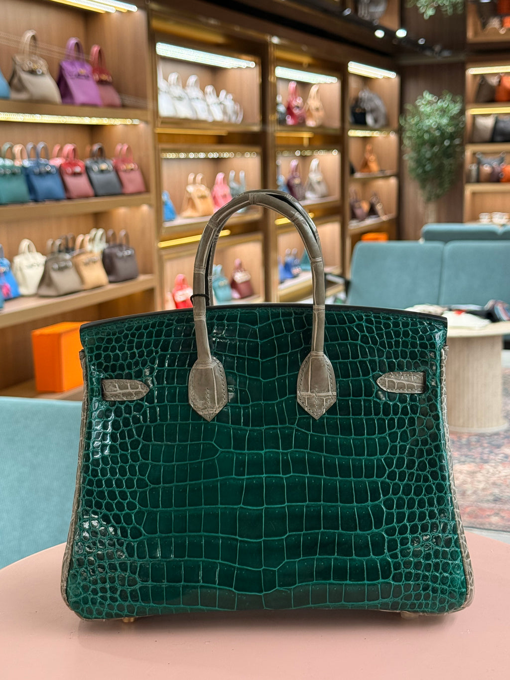 Hermes | Birkin (25) – Crocodile – Green – Gold Hardware