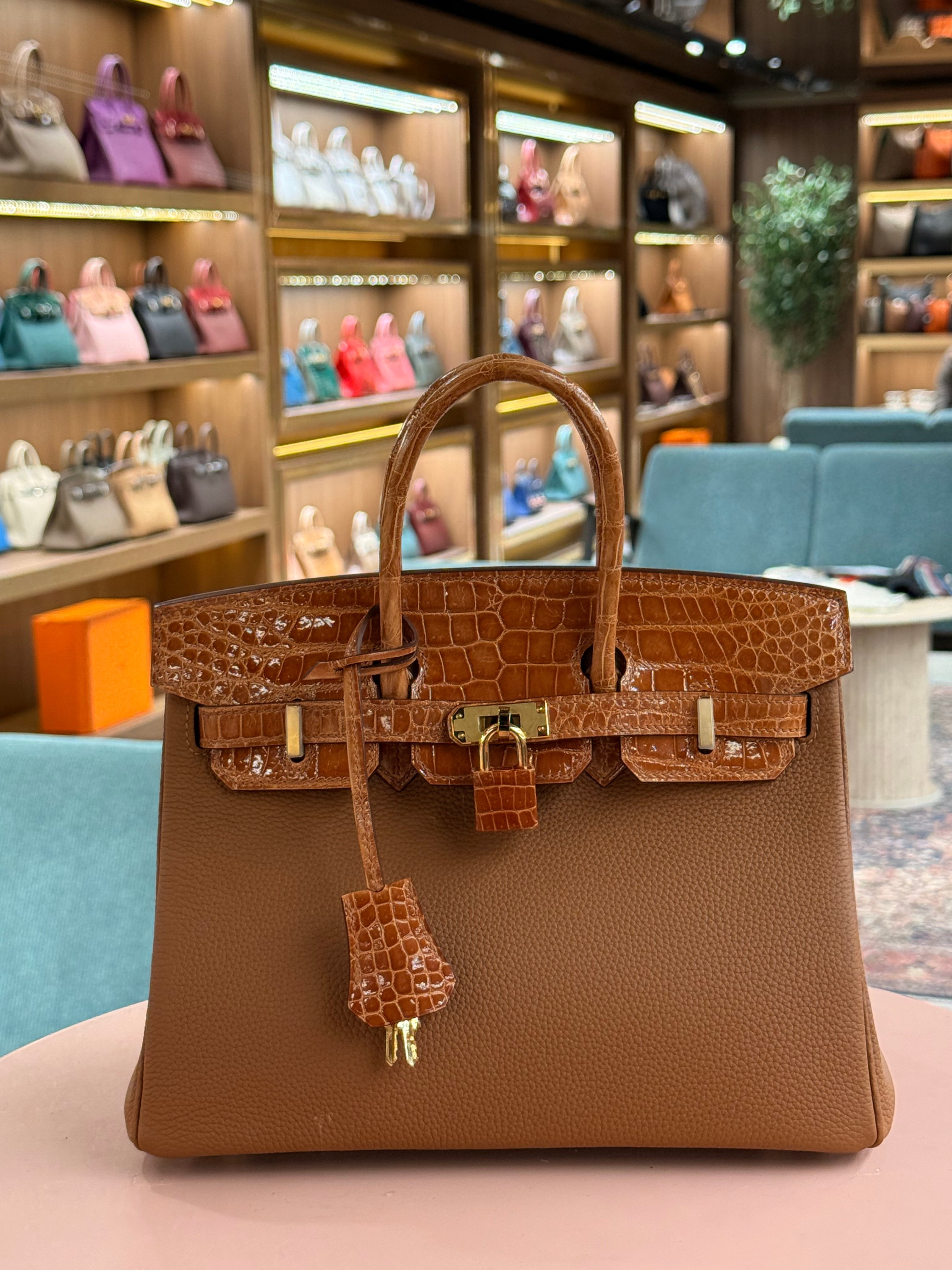 Hermes | Birkin Touch (25) – Togo – Gold – Gold Hardware