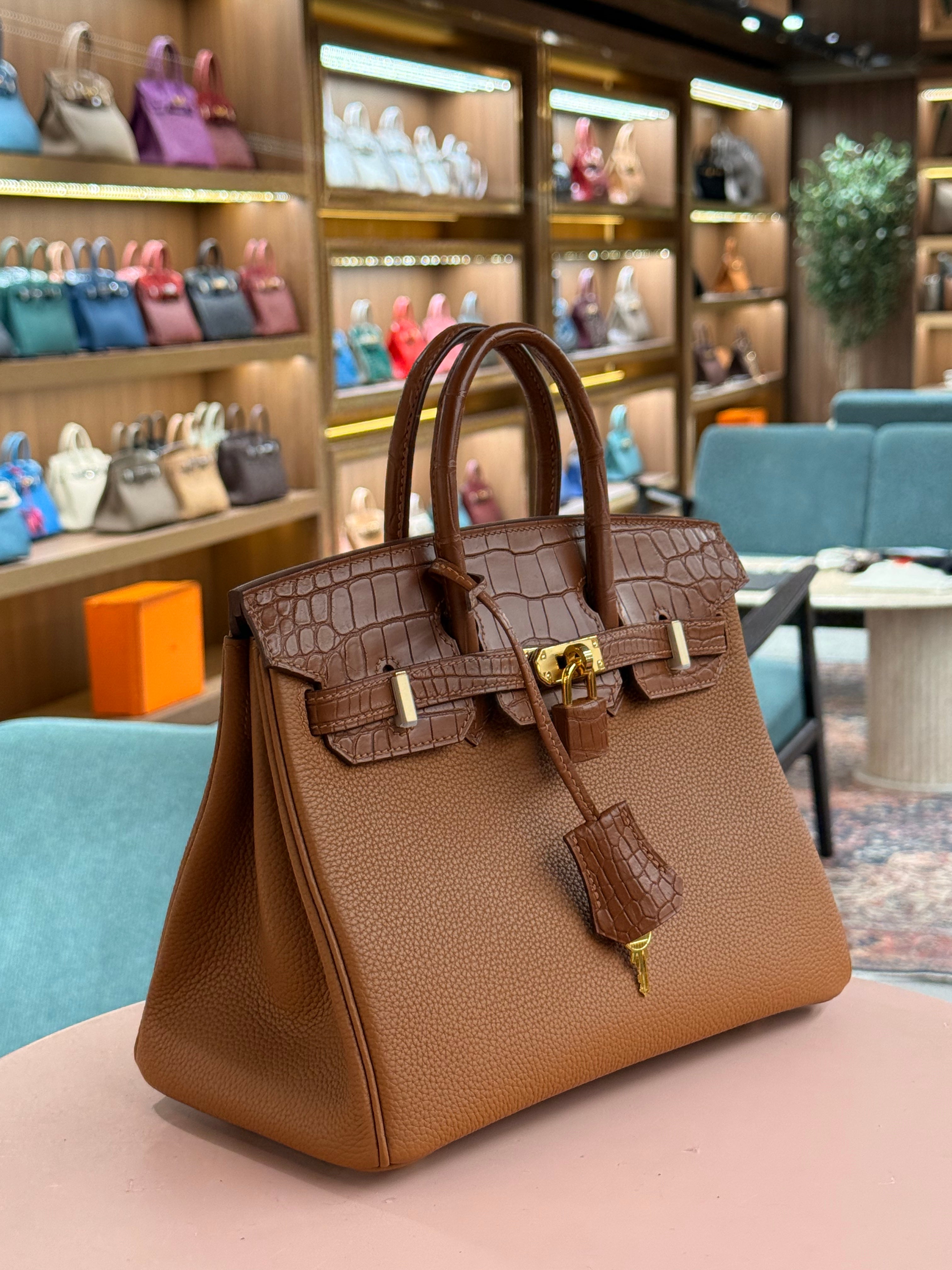 Hermes | Birkin Touch (25) – Togo – Brown – Gold Hardware