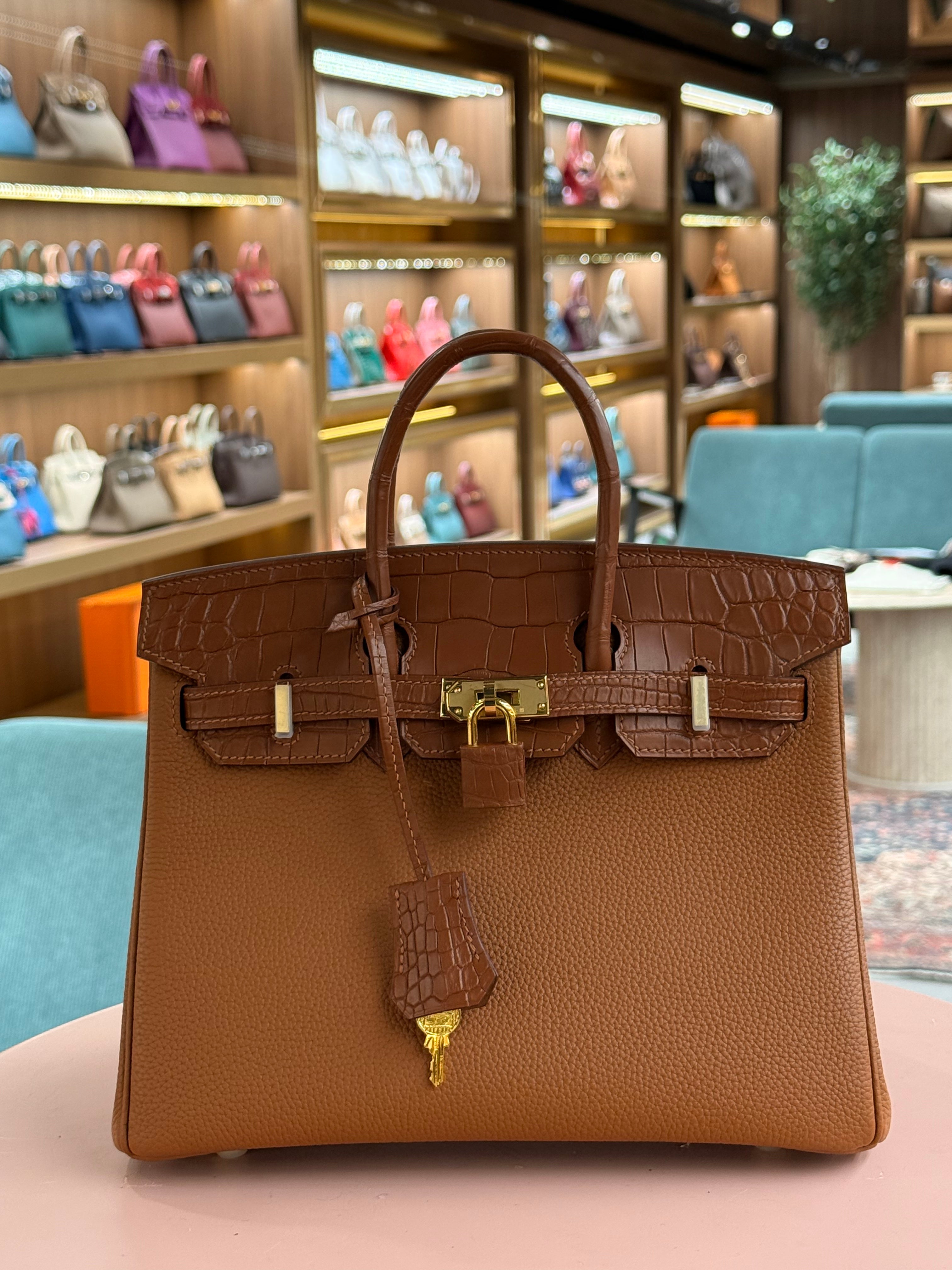 Hermes | Birkin Touch (25) – Togo – Brown – Gold Hardware