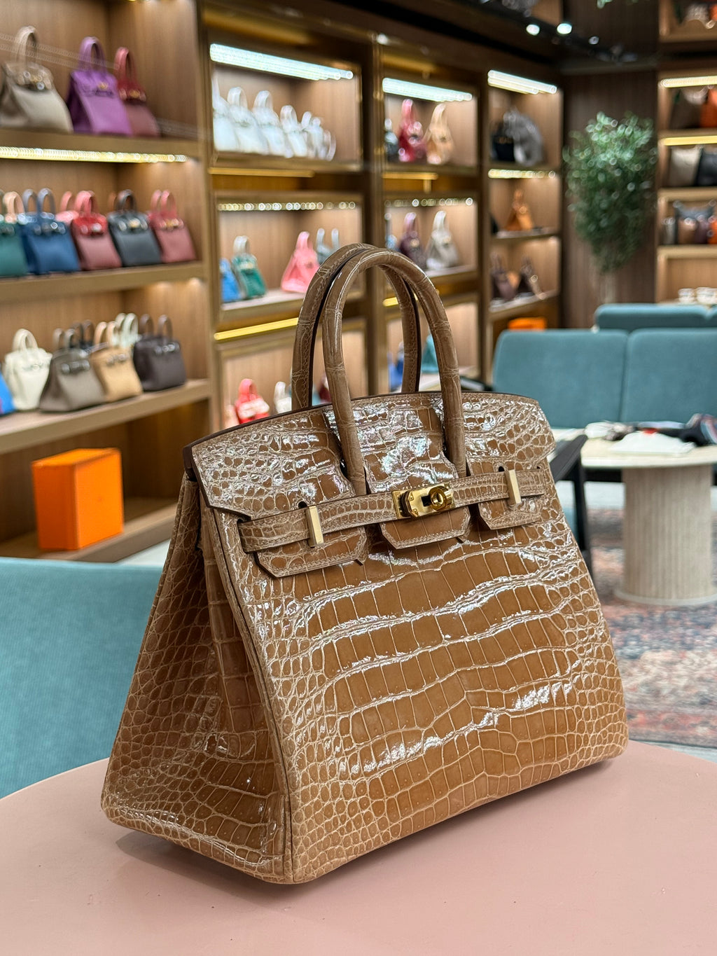 Hermes | Birkin (25) – Crocodile – Gold – Gold Hardware