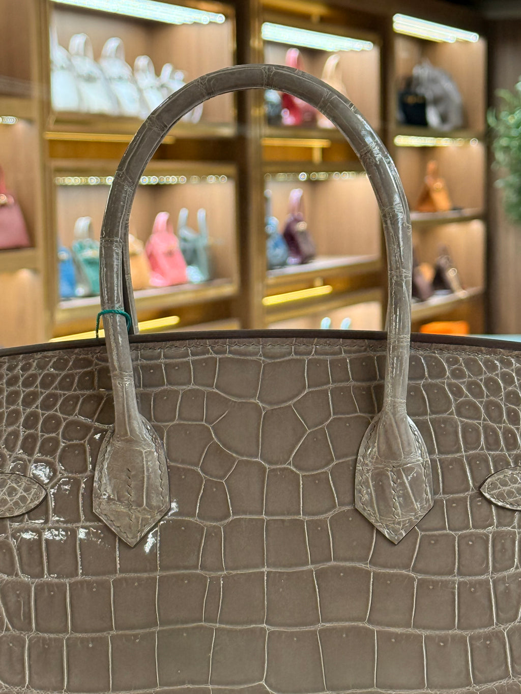 Hermes | Birkin (30) – Crocodile – Gris Tigré – Gold Hardware