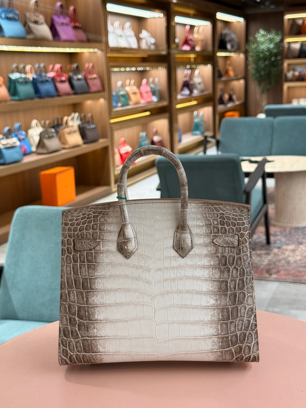 Hermes | Birkin (20) – Crocodile – Himalaya – Palladium Hardware