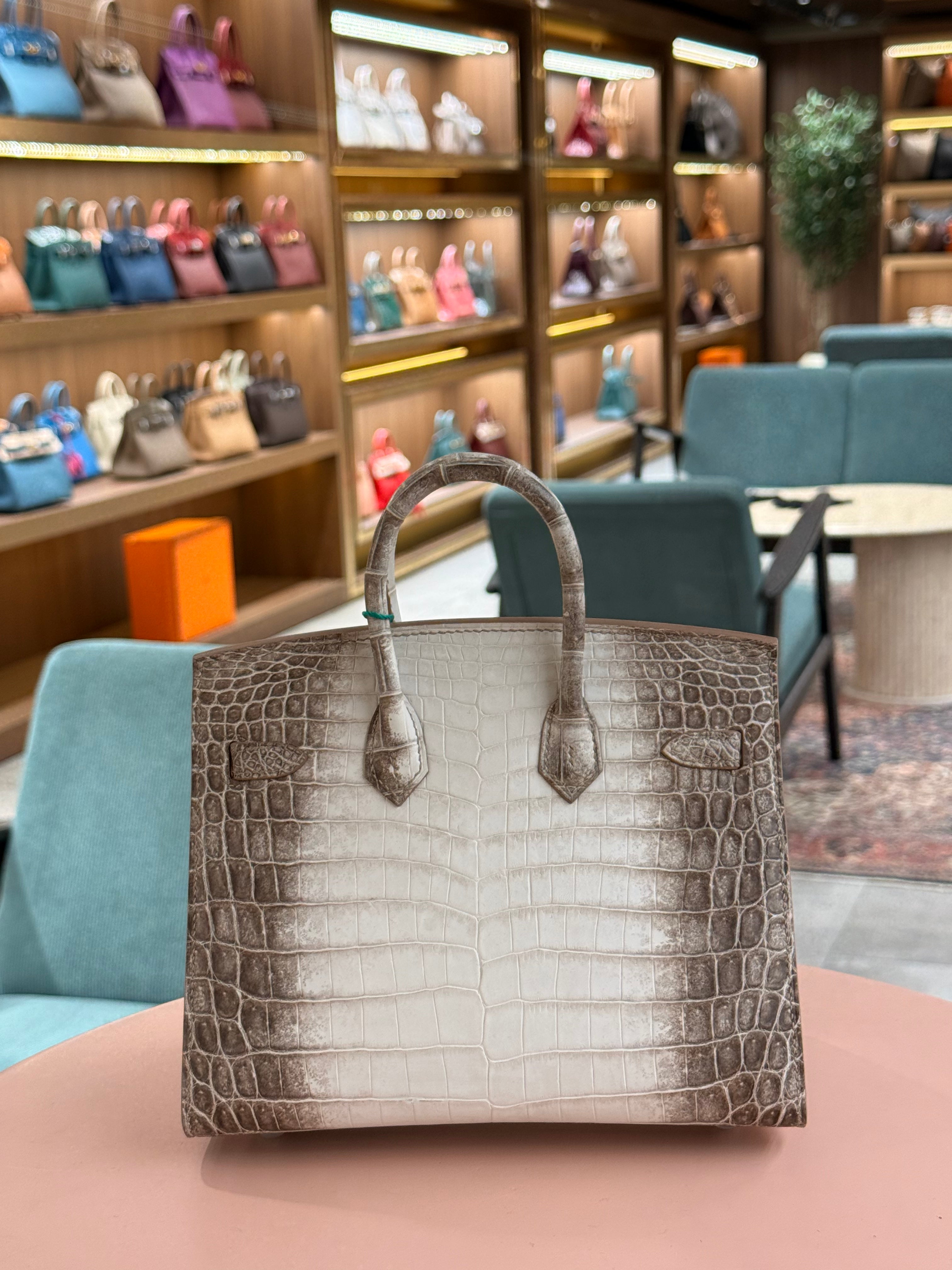 Hermes | Birkin (20) – Crocodile – Himalaya – Palladium Hardware