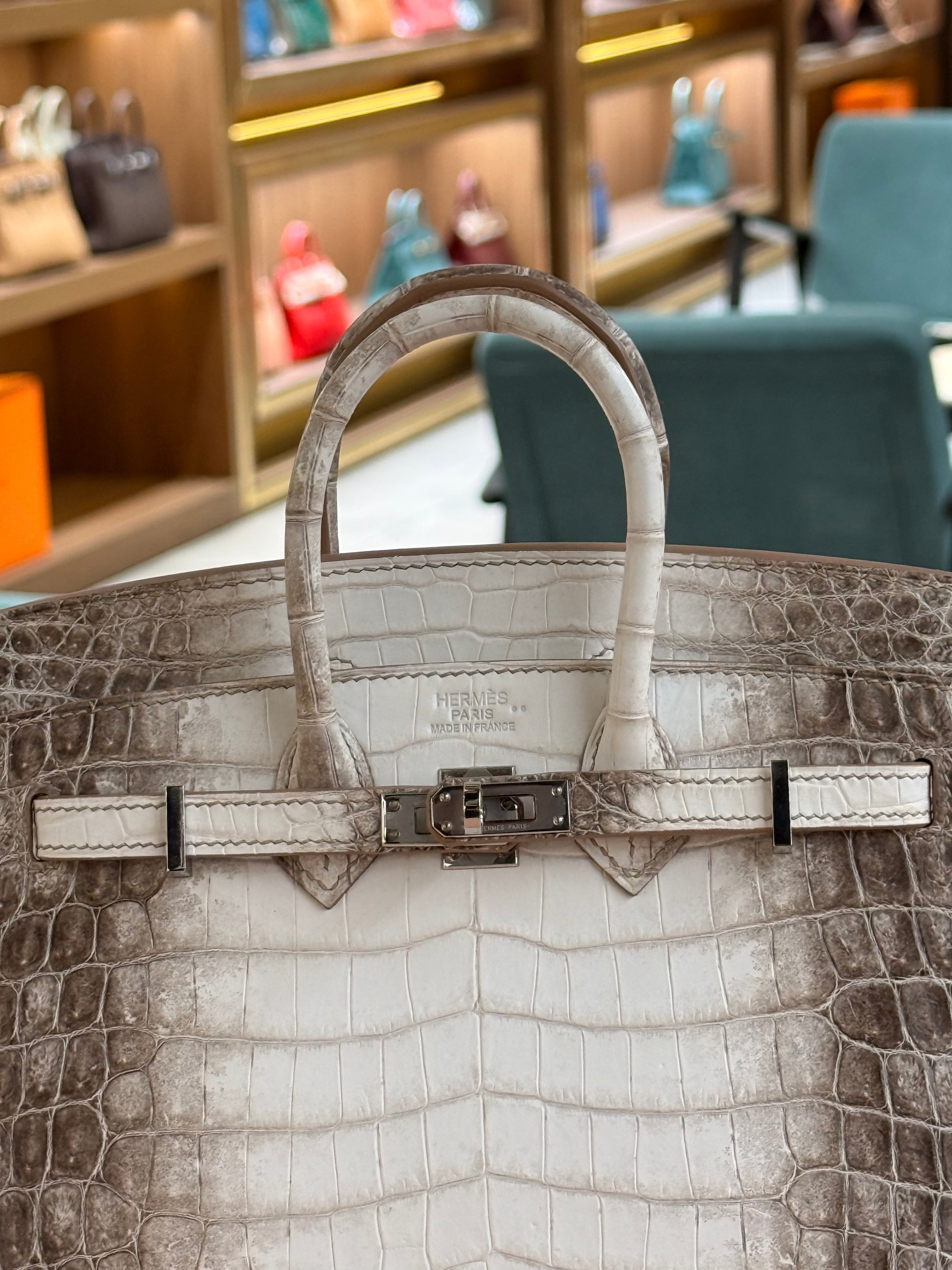 Hermes | Birkin (20) – Crocodile – Himalaya – Palladium Hardware